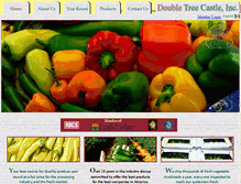 Tablet Screenshot of doubletreecastleinc.com